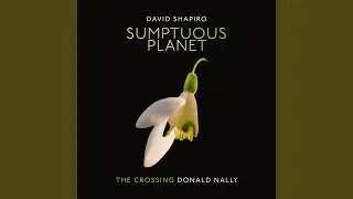 Sumptuous Planet (A Secular Mass) : VII. Taking Away the Sins of the World. Sin