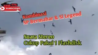 SP GEN 2 STEREO INAP AKAU2014 &mdash; Комбинированные звуки для привлечения молодых саланганов