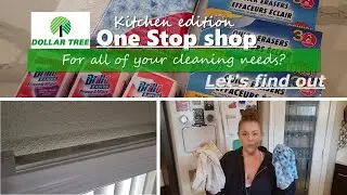 DOLLAR TREE CLEANING| I cleaned my ENTIRE kitchen using quick erasers and reusable towels