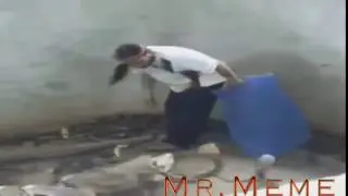 Dank Cobra slap