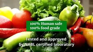 Rama-Goclean Vegetable and fruit Washer | 100% food grade |  Eco-friendly Cleaner