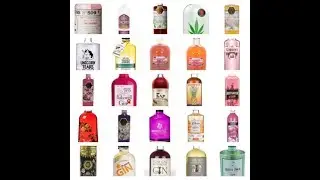 Top 25 Flavoured Gin very unique