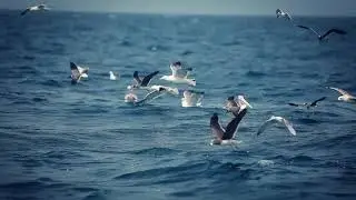 Jazan Tourism - Port