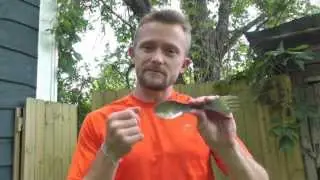 Light My Fire Titanium Spork Review  - The Outdoor Gear Review