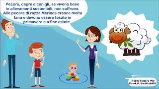Fibre tessili #4: LA LANA. Facile in 3 minuti. Con quiz esterno