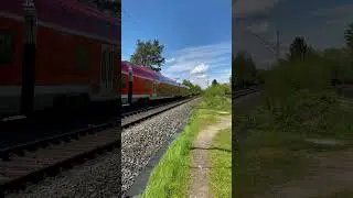 Desiro HC bremst in den Bahnhof Bamberg ein  | #shorts #trainspotting