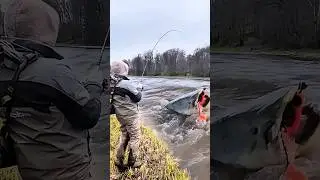 Strike ganas‼️lele monster ini tarikan nya bikin panik. #fishing #amazing #shorts