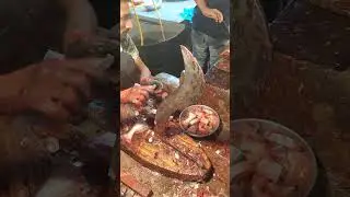 Fish Cutting Video | Pangas Fish Cutting Scene | Domestic Fish Market | Dhaka Fish Market #FishCu...