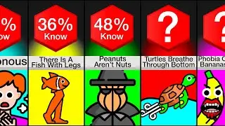 Comparison: I Bet You Didn't Know This! (Part 8)