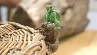A cicada emerging from its shell