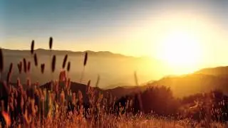 Ason ID & E-Flex - Sunshade (Original Mix)