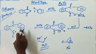 Alizarin dye synthesis | bsc 3rd year
