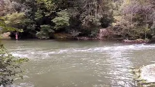 Montbazon 37250 Terre sauvage 1/3 .mp4