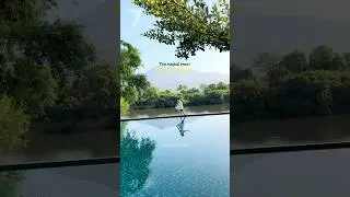 Resort in Mulshi | Near Pune | Staycation | Monsoon Plans  #trending  #nearpune #staycation #mulshi
