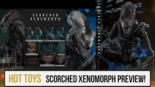 Hot toys Announce the Sorched Xenomorph From Alien Romulus!!!!