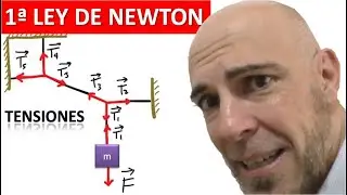 EST&Aacute;TICA. PRIMERA LEY DE NEWTON. Problemas de cuerdas y tensiones