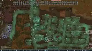 10000 Point Tribal Raid Vs Ant Colony