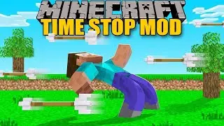 time stop addon in Minecraft PE | Hindi | Minecraft but you can freeze time |