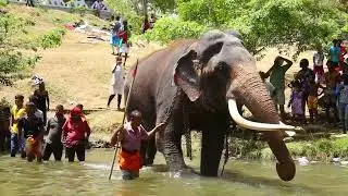 මද සමයෙන් පසු වාසනා මුලින්ම මැණික් ගගේ දිය පහස ලබමින්   Kataragama Wasana
