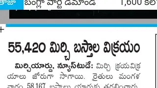 Guntur mirchi market report | 21-08-2024