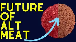 10 Incredible Alternative Protein Start Ups Changing The World (2023)