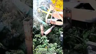 Najlepsza maszyna innowacyjna: Jak uprawiać gęste rośliny za pomocą pielnika montowanego na traktorze
