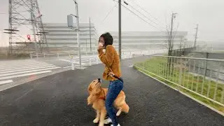 【80ミリ豪雨に雹！】天気予報見ずに散歩行くとこうなる