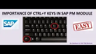 Importance of CTRL+Y keys in SAP PM Module