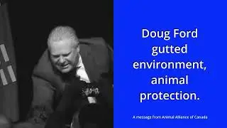 Ontario Election 2022: Vote for the animals