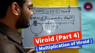 Viroid Part 4 - Multiplication of Viroid | JRF , SRF , NET | Pathology