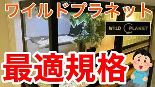 コーンスネークの飼育におすすめの爬虫類ケージを紹介します【ニッソー ワイルドプラネット WP440】