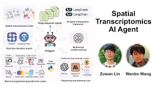 Demo of the spatial transcriptomics AI agent (STAgent) charts for end-to-end research autonomy