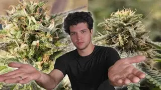 How To Cutomise Your High