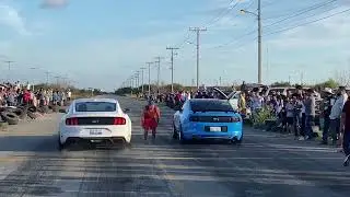 Coyote Mustang Gt Showdown 🏎️🏎️🤑#fyp #viral #shorts #youtube #racing 