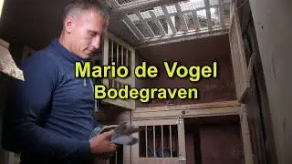 GOUDEN DUIF INT. ZWARE FOND 2020: Mario de Vogel
