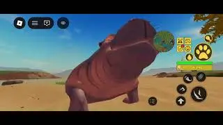 A VIDA DE UM LEÃO PEQUENO NA SAVANA AFRICANA| VIDEO NOVO 