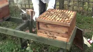 Feeding fondant to bees