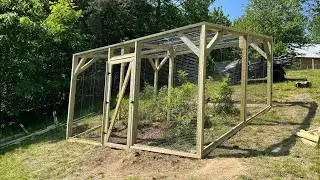 Step by step blueberry house build. #diy #carpentry #garden #tips #woodworkingprojects #youtube