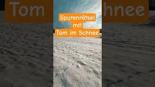 Spurenr&auml;tsel in 2026