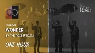 Wonder by The Rose | One Hour Loop | Grugroove🎶