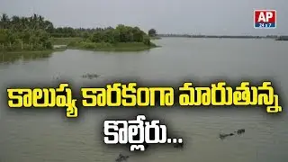 Kolleru Lake Turns into Pollution Hub | Special Story | AP24x7