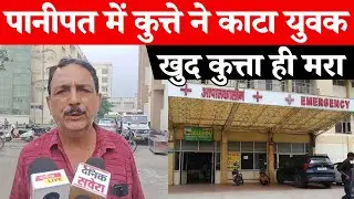Panipat में बढ़ा कुत्तों का आतंक, एक और Dog Byte का केस आया सामने, युवक को काटने के बाद कुत्ता.....