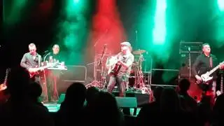 Freeze Wedding Band Bristol