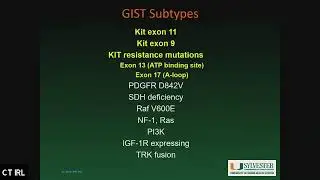 NH GIST 2023: Two latest GIST therapies: Ripretinib and Avapritinib
