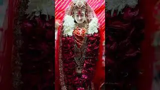 Chehar ma new stetus #gamansanthal #jmc #jmm #stetus #virulshortsvideo #shreejmcreation