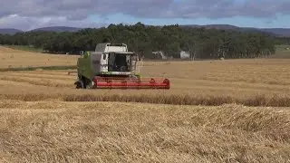 LEXION 650. The right decision. / 2013