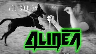 Alinea - Chaos Walker [lyric and live video]