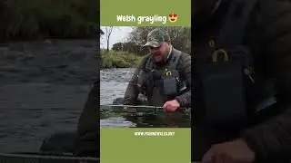River Irfon grayling, fly fishing Wales, UK