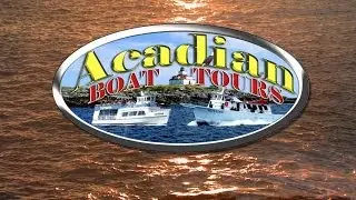 Acadia Nature Cruises