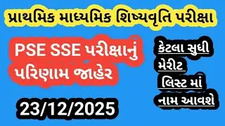 PSE//SSE પ્રાથમિક માધ્યમિક શિષ્યવૃત્તિ  પરીક્ષા પરિણામ જાહેર 2025